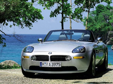 BMW Z8 - road, sea, car, tree