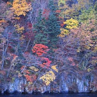 Autumn Coast