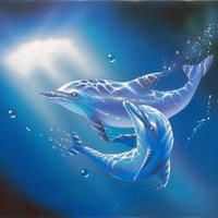 Dolphins