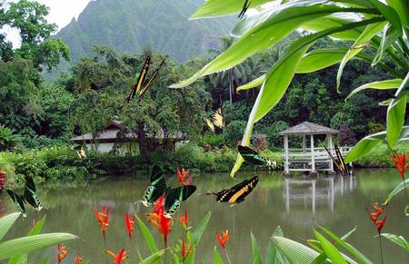 Butterflies - butterflies, animal, trees, water