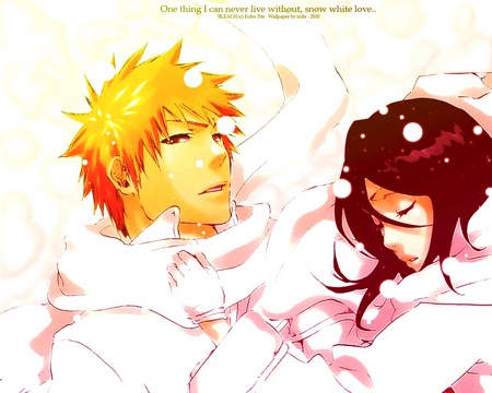 A Warm Winter - anime, ichigo, bleach, rukia