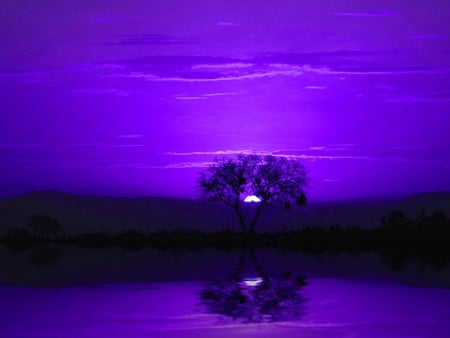 PURPLE MOONRISE - moon, purple, night, tree, moonrise