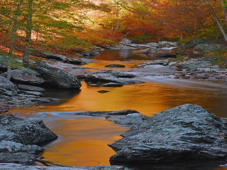 Golden River - trees, rivers, beautiful, colors, river, nature, autumn, golden, peaceful, rocks, other