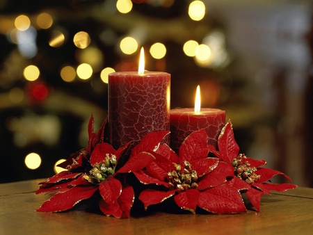 Candels with Flowers - candle, table, flower, lights