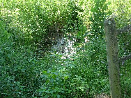 waterfall in my yard - nature, water, green, grass