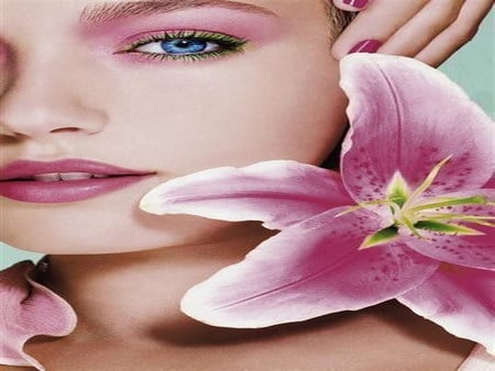 pink beauty - beauty, lily, pink, soft