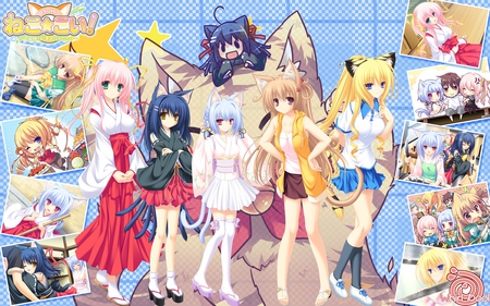 neko party - girls, cute, neko, hot, anime