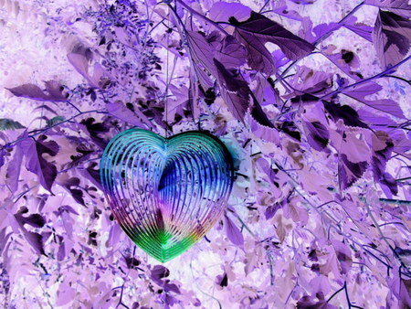 heart on my tree - heart, purple, tree, neon