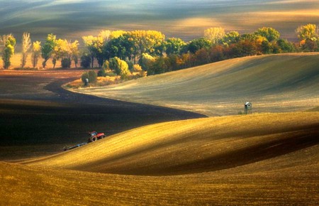 Beautiful Fields - picture, cool, beautiful, fields