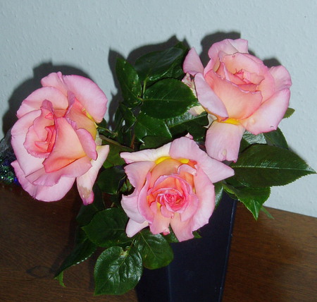 Roses from our garden. - roses, pink, scent, beautiful