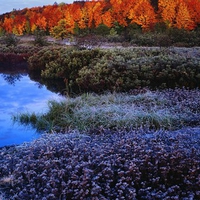 Flowers River