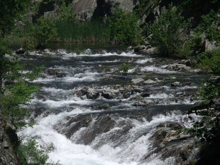 The Quiet Rush Of Life - water, grass, trees, rocks