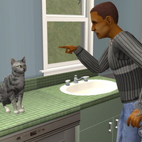 Bad Kitty