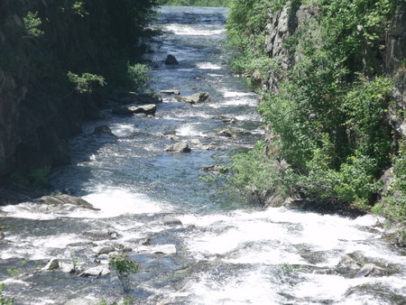 Extreme Waters - rapids, water, trees, rocks