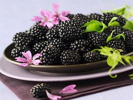 blackberry - flower, pink, blackberry, fruit