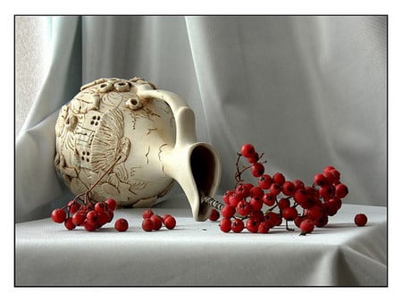 rosehips - vase, white, red, rosehips