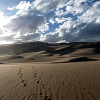 Sand Dunes