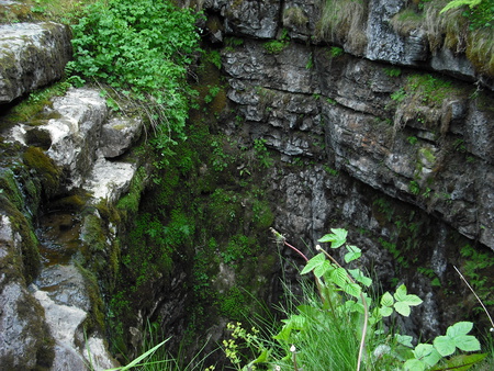 Gapeing gill - greenery, 100feet drop, gill, limestone