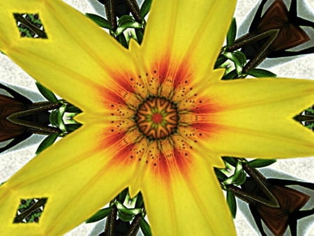 liliscope - lilly, flower, yellow, bright