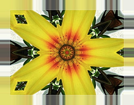 bordascope - lilly, nature, yellow, bright, flower