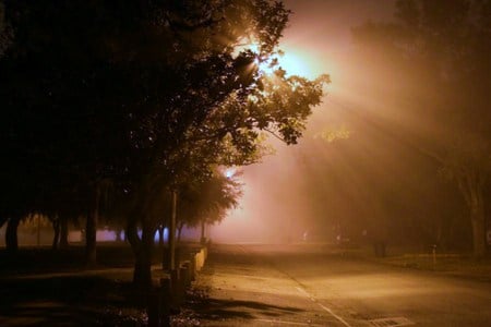 Night - street, light, quiet, dark, misty, night