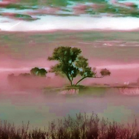Pink distortion