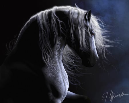 Dark Sparkle - spanish, grey, white, horses, spanish horse, animals, andalusian