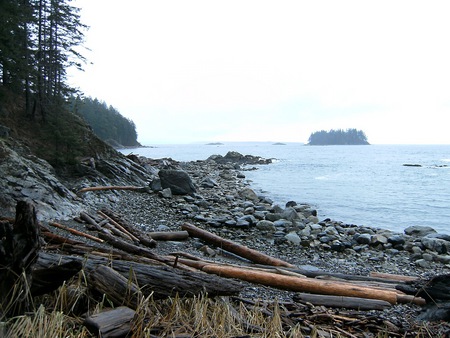 Beautiful Coastline - coast, ocean, forest, oregon