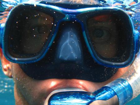 Sea Monster - snorkeling, water, mask, funny