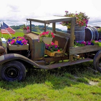 Flowers Van