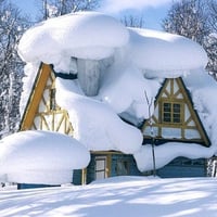 Snowy northern Canadian day