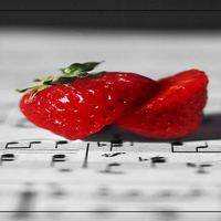 fruit melody