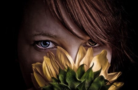 sunflower face - sunflower, face, hide, summer