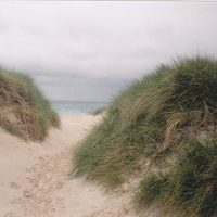 Between the Dunes