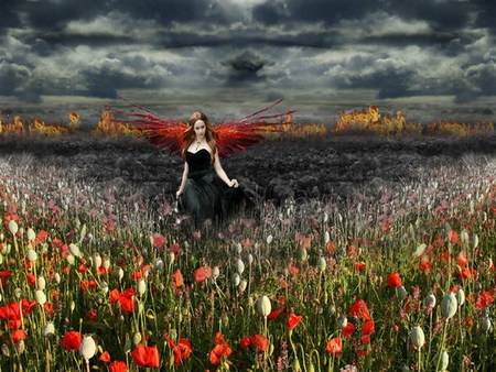 angel of destruction - black, field, angel, destruction