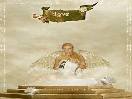 love - heaven, angel, love, dove