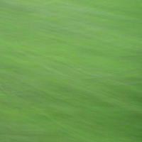 Abstract motion blur of trees outside bus window