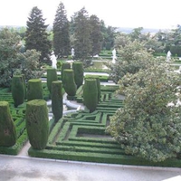 Royal Palace's Gardens--Spain--.