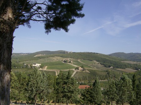 Tuscan Beauty - tuscany, italy