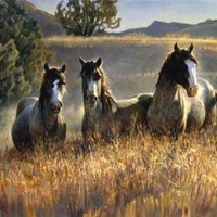 Horses