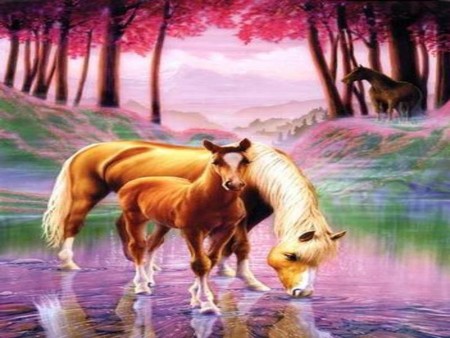 Forest harmony - animal, cavalo, horse, stallion