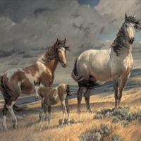 Family of horses