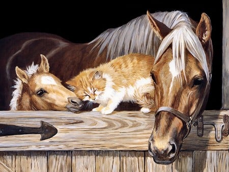 Love animals ♥ - gato, love, horse, cat, amor, animal, kitten, stallion, cavalo