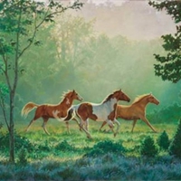 Horses in forest