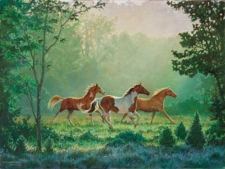 Horses in forest - cavalo, stallion, animal, horse