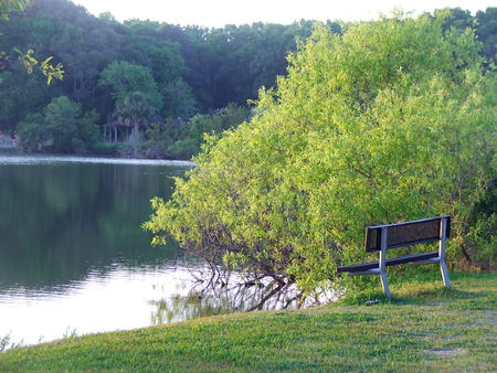 Park Bench on the Lake - florida, water, beach, blue, lake, bench, pond, jacksonville, green