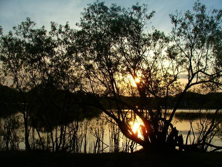 Sunsetting on a Lake - jacksonville, lake, florida, tree, sunset, pond