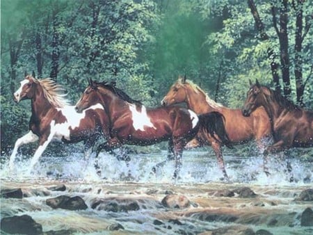 Horses - cavalo, stallion, animal, horse