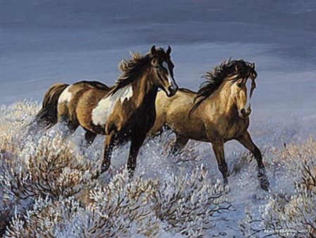 Two Wild Horses - animals, horses, nature, horse, animal, painted, paintings, cavalo, stallion