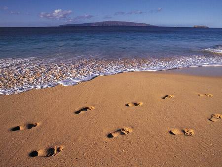 Footprints on the Beach - sand, footprints, foot prints